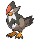 Staraptor