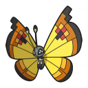 Vivillon Continental