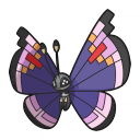Vivillon Elegant