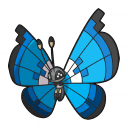 Vivillon Marine