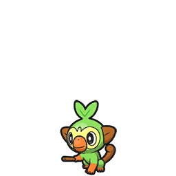 Grookey